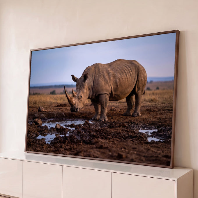 Rinoceronte de chifre longo coberto de lama junto a uma poça na savana africana ao entardecer, quadro decorativo