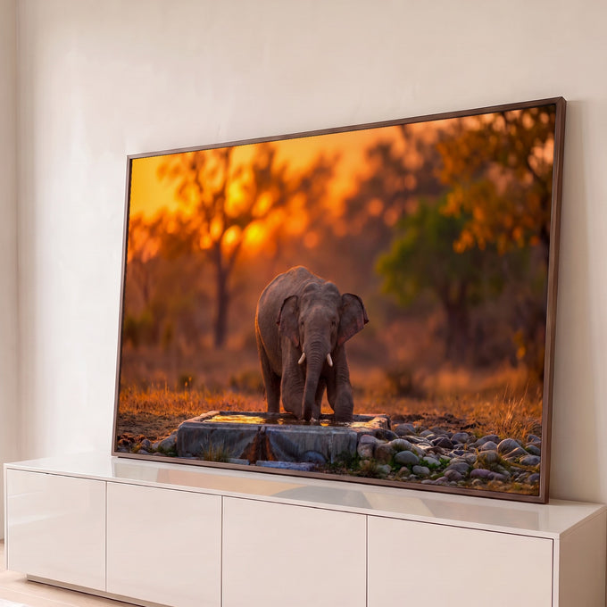 Elefante filhote bebendo água em bebedouro de pedra na savana ao pôr do sol laranja, quadro decorativo