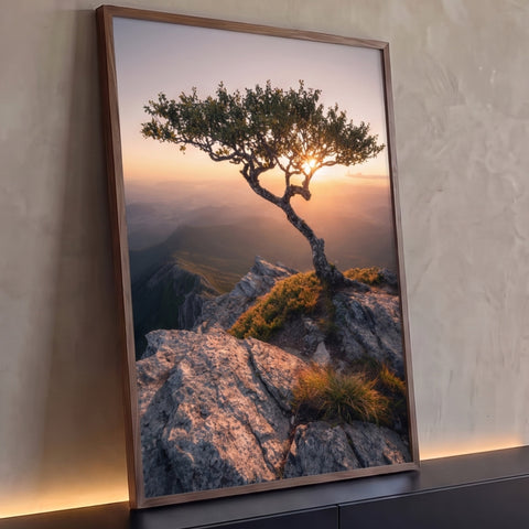 Árvore solitária no alto da montanha rochosa com o pôr do sol entre os galhos, quadro decorativo