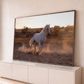 Cavalo branco galopando em picadeiro de areia, com poeira dourada ao pôr do sol, quadro decorativo