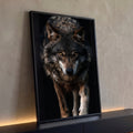 Quadro Decorativo Lobo de Olhos Âmbar em Fundo Preto | quadros decorativos para sala | lobo cinza em close olhando para câmera com olhos âmbar em fundo preto | Porao dos Quadros
