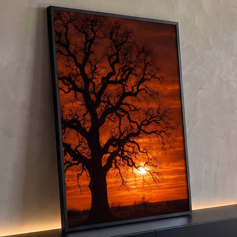 Árvore de galhos retorcidos em silhueta com o sol entre os galhos e céu laranja, quadro decorativo