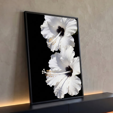 Dois hibiscos brancos em close com centro escuro e pólen amarelo sobre fundo preto, quadro decorativo
