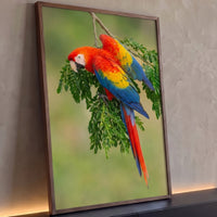 Quadro Decorativo Grande Arara Vermelha para Sala Verde - Borda Infinita / 100x65cm