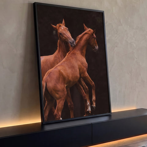 Dois cavalos alazões jovens entrelaçados em fotografia sobre fundo preto, quadro decorativo