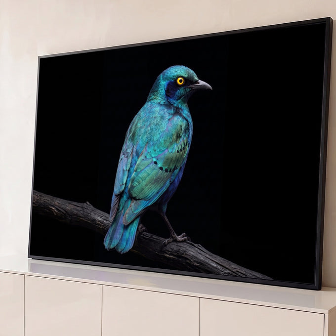 Quadro Decorativo Grande Pássaro e Verde para Sala Azul | quadros decorativos para sala | pássaro de penas azul e verde iridescentes com olho amarelo pousado em galho seco | Porao dos Quadros