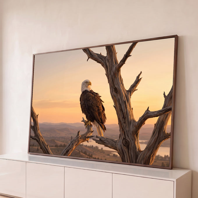 Quadro Decorativo Grande Águia Americana Natureza para Sala | quadros decorativos para sala | águia de cabeça branca pousada em galho seco sob céu alaranjado de pôr do sol | Porao dos Quadros