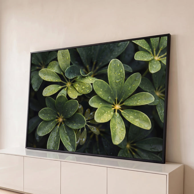 Quadro Decorativo Grande Folhas Verdes Verde para Sala | quadros decorativos para sala | folhas verdes dispostas em leque cobertas de gotas de orvalho em close-up | Porao dos Quadros