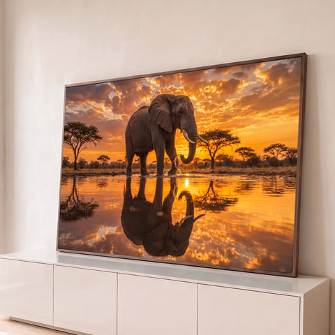 Elefante africano caminhando no lago com reflexo na água sob céu laranja do pôr do sol, quadro decorativo