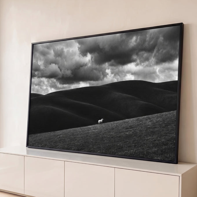 Quadro Decorativo Grande Ovelha Solitária para Sala Preto | quadros decorativos para sala | ovelha branca solitária em colina de grama com fundo de morros escuros e céu nublado dramático | Porao dos Quadros