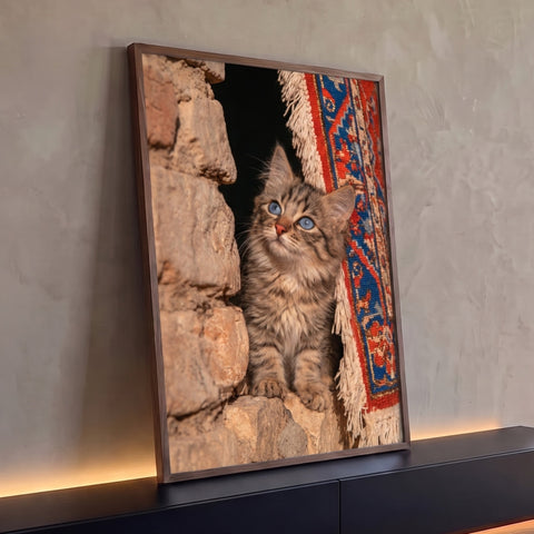 Gatinho rajado de olhos azuis sentado entre parede de pedra e tapete persa vermelho e azul, quadro decorativo