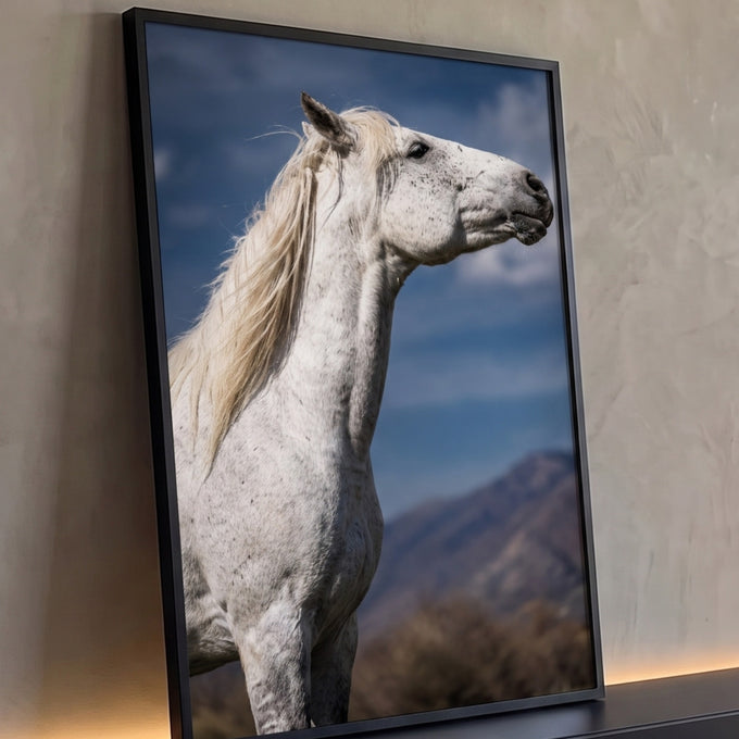 Cavalo tordilho branco de perfil com crina ao vento, céu azul e montanhas ao fundo, quadro decorativo
