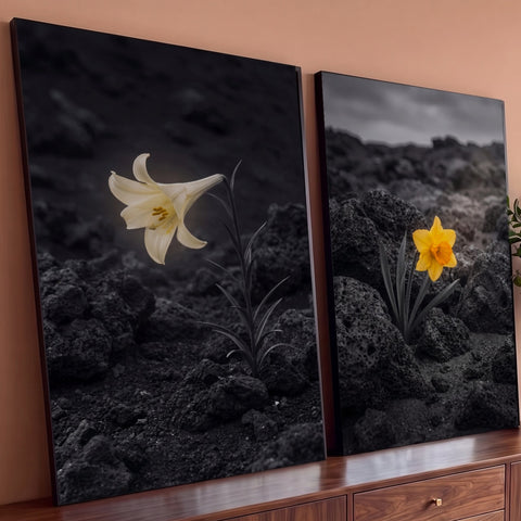 Quadro Decorativo Grande Lírio e Narciso para Sala Preto | quadros decorativos para sala | lírio branco e narciso amarelo entre pedras vulcânicas em preto e branco com toque de cor | Porao dos Quadros