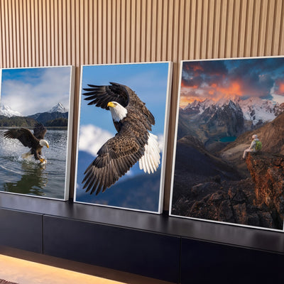 Quadro Decorativo Kit 3 Telas Águias em Voo para Sala Marrom