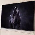 Cavalo negro com cabresto de corrente em retrato de estúdio sobre fundo escuro esfumaçado, quadro decorativo