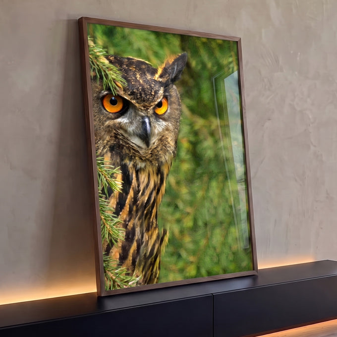 Quadro Decorativo Grande Coruja de Olhos para Sala Verde | quadros decorativos para sala | coruja com olhos laranja intensos entre galhos verdes de pinheiro | Porao dos Quadros