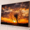 Dente de leão em contraluz diante do sol se pondo e céu laranja com nuvens escuras, quadro decorativo