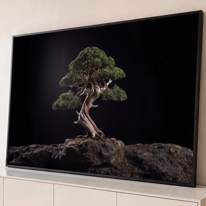 Quadro Decorativo Grande Bonsai com Tronco para Sala Preto | quadros decorativos para sala | bonsai verde com tronco retorcido de madeira clara sobre rocha em fundo preto | Porao dos Quadros