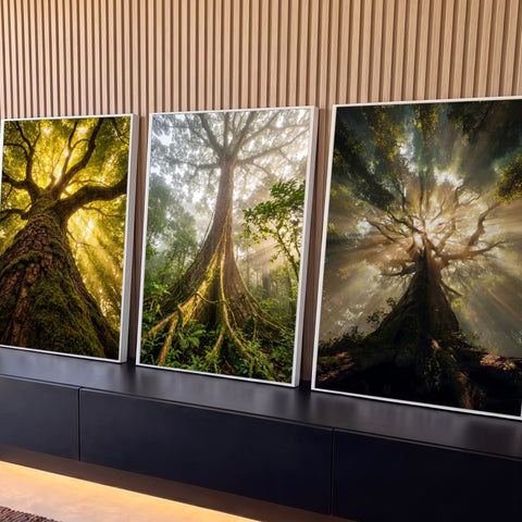 Quadro Decorativo Kit 3 Telas Árvores da Floresta para Sala | quadros decorativos para sala | três árvores de floresta vistas de baixo com raios de sol entre as folhas | Porao dos Quadros