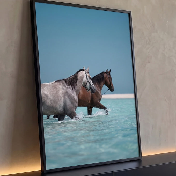 Cavalo tordilho e cavalo baio caminhando no mar raso turquesa sob céu azul, quadro decorativo