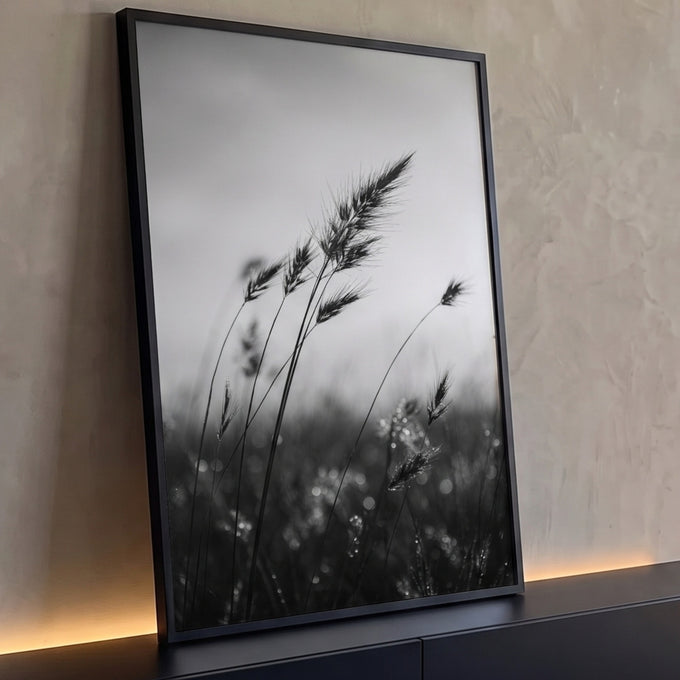 Espigas de capim selvagem ao vento com gotas de orvalho em fotografia preto e branco, quadro decorativo