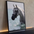 Cavalo branco malhado com cabeçada preta entrando no mar turquesa entre respingos, quadro decorativo