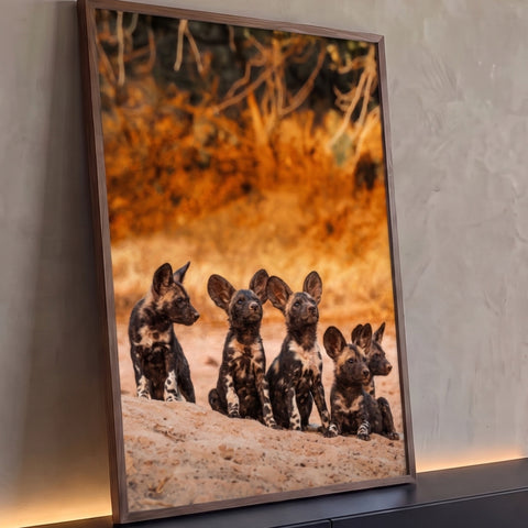 Quadro Decorativo Grande Filhotes de Cachorro para Sala | quadros decorativos para sala | cinco filhotes de cachorro-selvagem-africano sentados sobre terra com fundo dourado desfocado | Porao dos Quadros