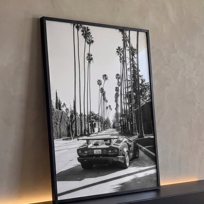 Carro esportivo retrô com aerofólio em rua de palmeiras, fotografia preto e branco, quadro decorativo