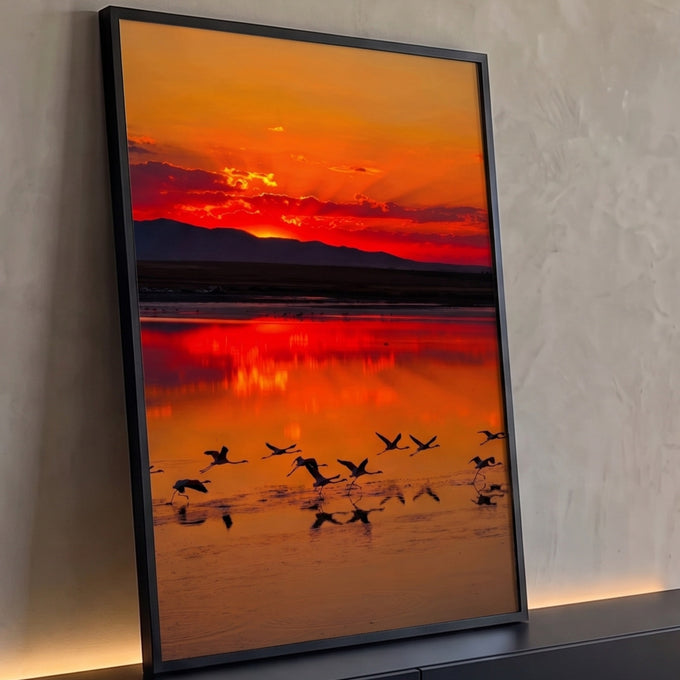 Flamingos em silhueta voando sobre lago refletindo pôr do sol laranja e vermelho, quadro decorativo