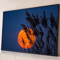 Lua cheia laranja atrás de juncos em silhueta sob céu azul-escuro ao anoitecer, quadro decorativo