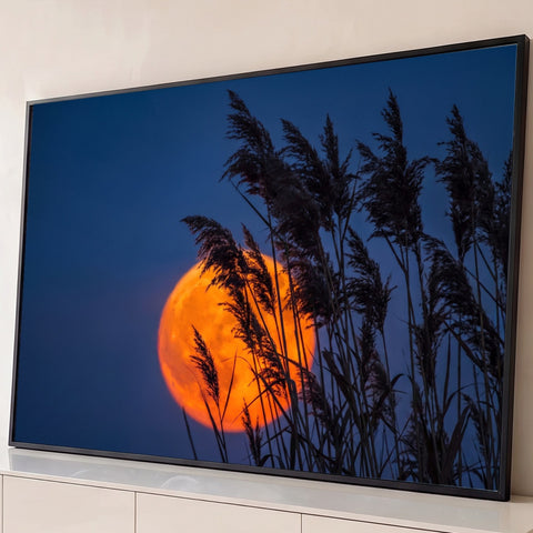 Lua cheia laranja atrás de juncos em silhueta sob céu azul-escuro ao anoitecer, quadro decorativo