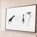 Duas girafas e acácia solitária na savana sob névoa, fotografia em preto e branco, quadro decorativo