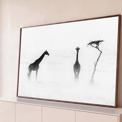 Duas girafas e acácia solitária na savana sob névoa, fotografia em preto e branco, quadro decorativo