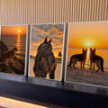 Quadro Decorativo Kit 3 Telas Pôr do Sol Gato para Sala | quadros decorativos para sala | painel triplo com gato, cavalo e cães em cenas de pôr do sol | Porao dos Quadros