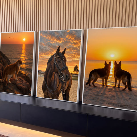 Quadro Decorativo Kit 3 Telas Pôr do Sol Gato para Sala | quadros decorativos para sala | painel triplo com gato, cavalo e cães em cenas de pôr do sol | Porao dos Quadros