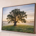 Quadro Decorativo Grande Árvore Solitária para Sala Verde | quadros decorativos para sala | árvore solitária com sol nascendo entre os galhos sobre colina com névoa | Porao dos Quadros