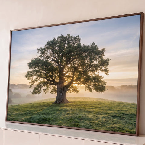 Quadro Decorativo Grande Árvore Solitária para Sala Verde | quadros decorativos para sala | árvore solitária com sol nascendo entre os galhos sobre colina com névoa | Porao dos Quadros