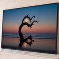 Quadro Decorativo Grande Árvore Seca Lua Cheia para Sala | quadros decorativos para sala | silhueta de árvore seca retorcida emoldurando a lua cheia numa praia ao entardecer | Porao dos Quadros