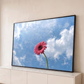 Flor gerbera rosa de caule verde contra céu azul com nuvens brancas, fotografia, quadro decorativo