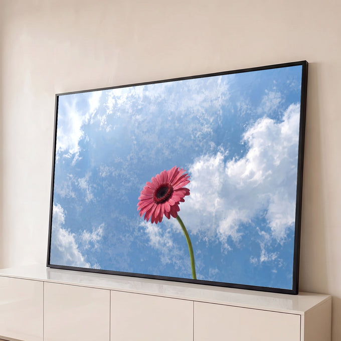 Flor gerbera rosa de caule verde contra céu azul com nuvens brancas, fotografia, quadro decorativo