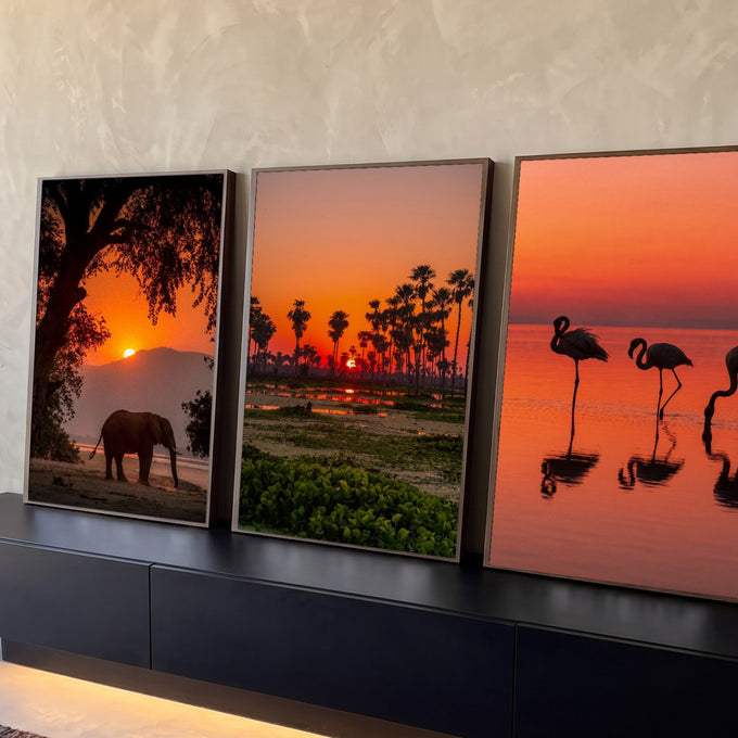 Quadro Decorativo Kit 3 Telas Pôr do Sol Elefante para Sala | quadros decorativos para sala | tríptico com elefante, palmeiras e flamingos em silhueta sob céu laranja de pôr do sol | Porao dos Quadros