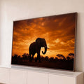 Silhueta de elefante africano com presas sob céu laranja de pôr do sol na savana, quadro decorativo