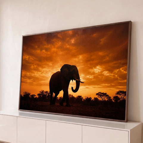 Silhueta de elefante africano com presas sob céu laranja de pôr do sol na savana, quadro decorativo