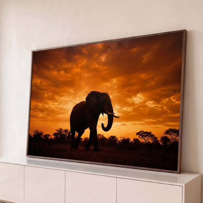 Silhueta de elefante africano com presas sob céu laranja de pôr do sol na savana, quadro decorativo