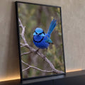 Pássaro corruíra azul com cauda erguida pousado em galho seco, fundo verde desfocado, quadro decorativo