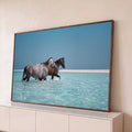 Quadro Decorativo Grande Cavalos Caminhando para Sala Azul | quadros decorativos para sala | dois cavalos caminhando em água turquesa rasa com areia branca ao fundo | Porao dos Quadros