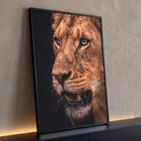 Quadro Decorativo Grande Leoa com Capim para Sala Marrom - Borda Infinita / 100x65cm