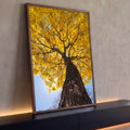 Ipê amarelo florido visto de baixo, tronco robusto, céu azul e sol entre galhos, quadro decorativo
