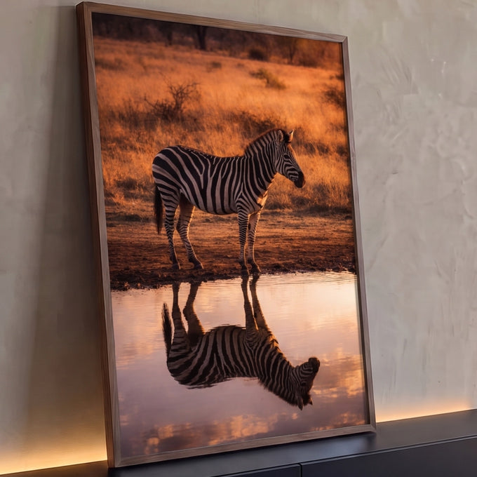Quadro Decorativo Grande Zebra Refletida para Sala Laranja | quadros decorativos para sala | zebra de pé à beira de uma poça com reflexo na água ao pôr do sol | Porao dos Quadros