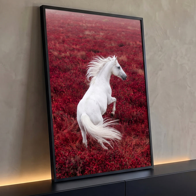 Cavalo branco empinado com crina ao vento em campo de flores vermelhas, quadro decorativo